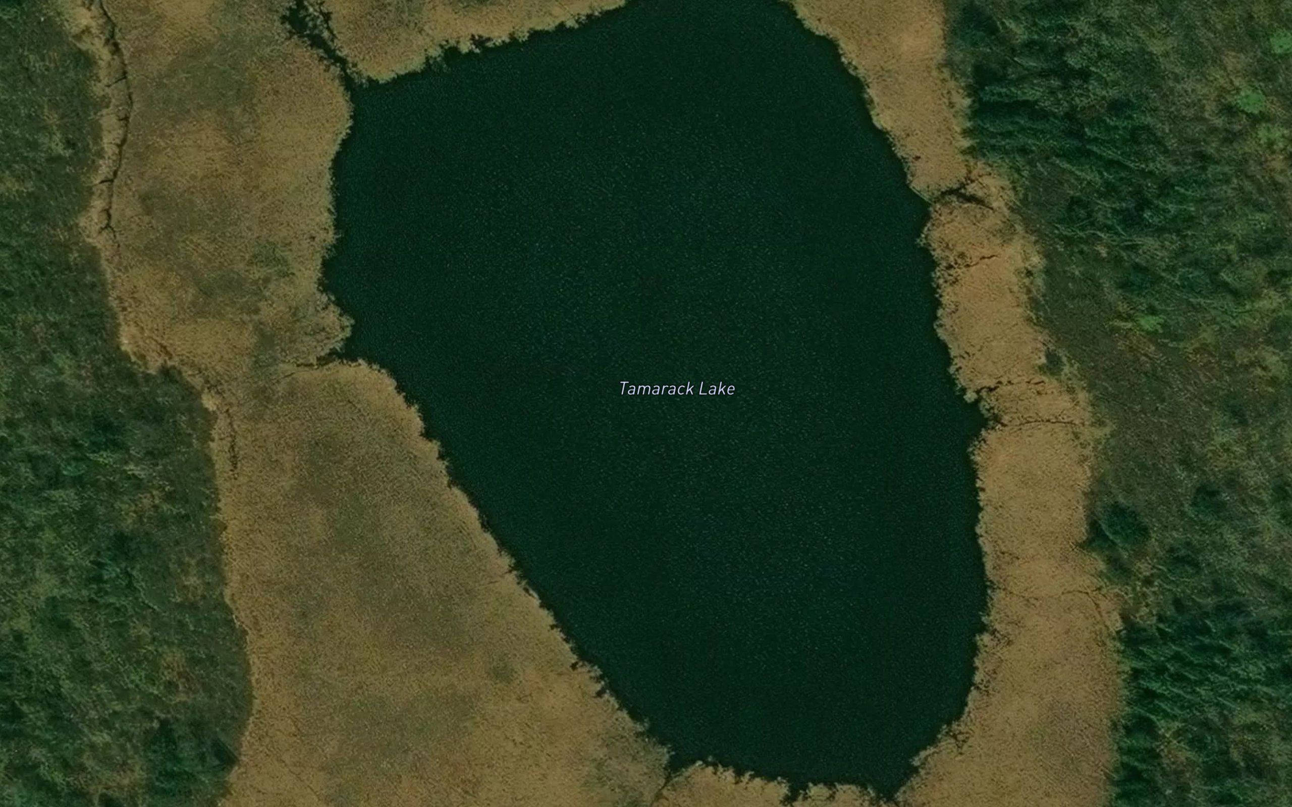 Tamarack Lake