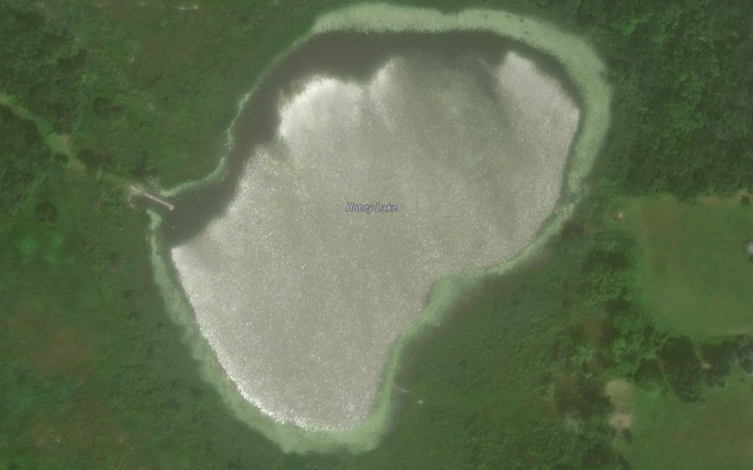 Honey Lake