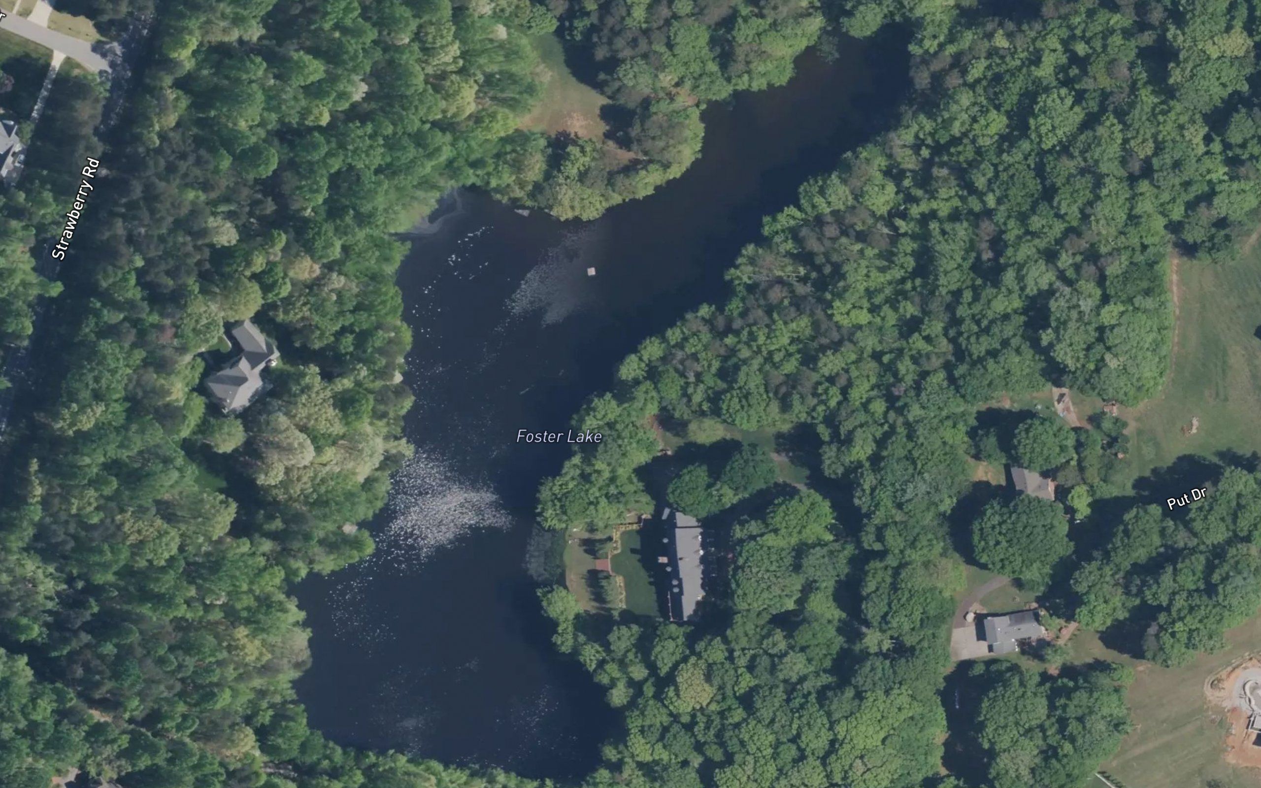 Foster Lake