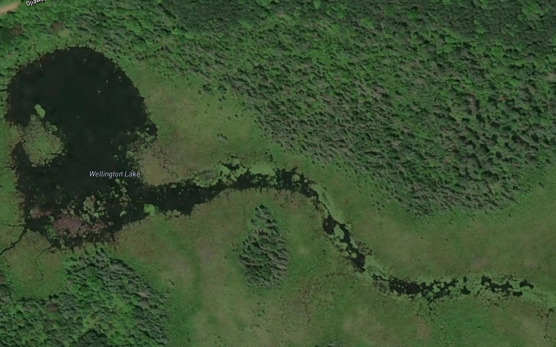 Satellite map of the Wellington Lake