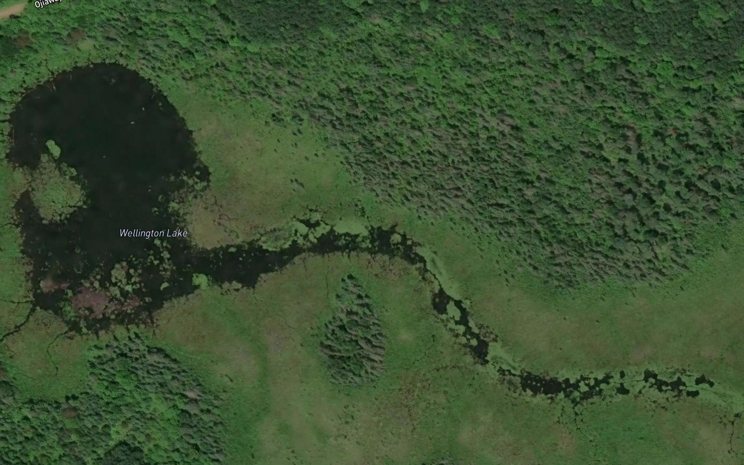 Wellington Lake
