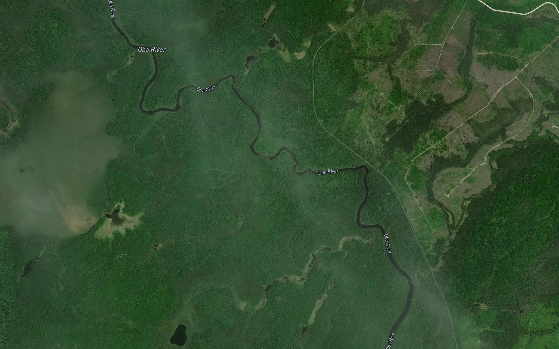 Satellite map of the Trout Rapids