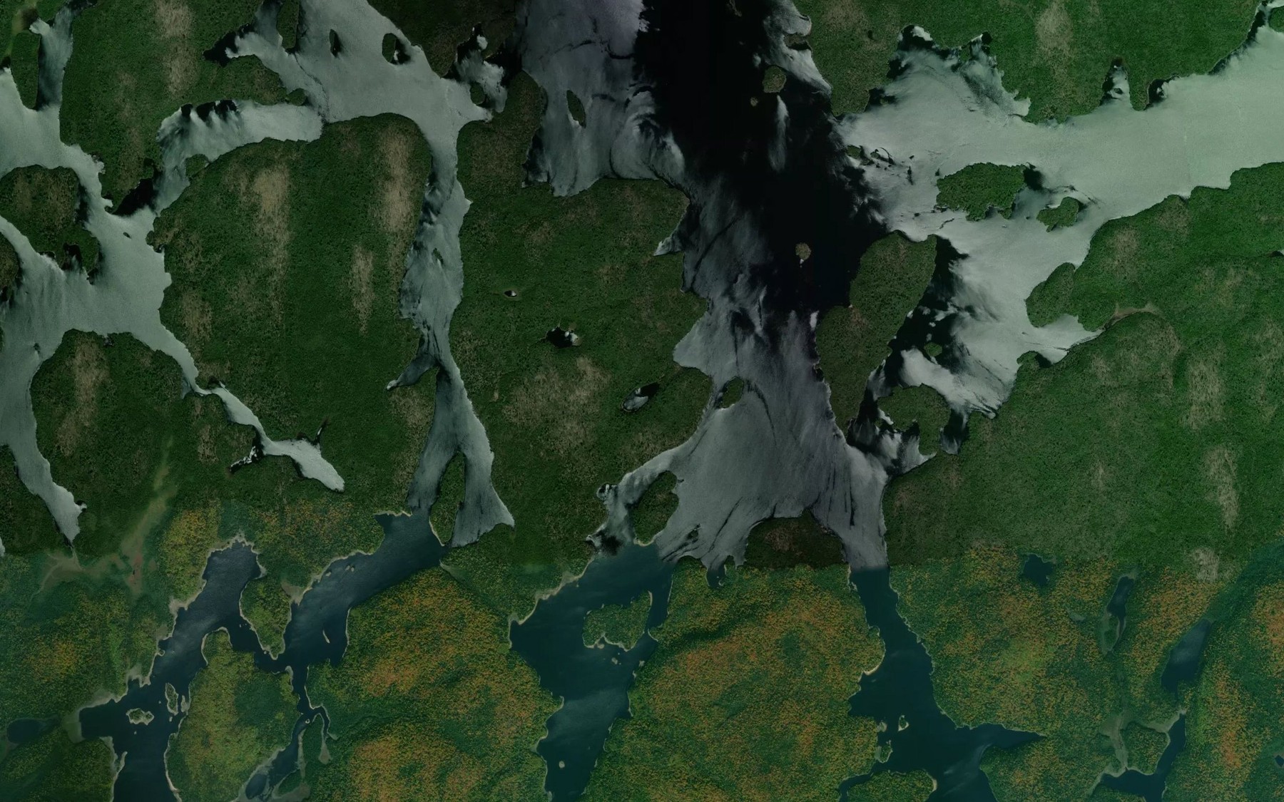 Satellite map of the Lac Carmagnole