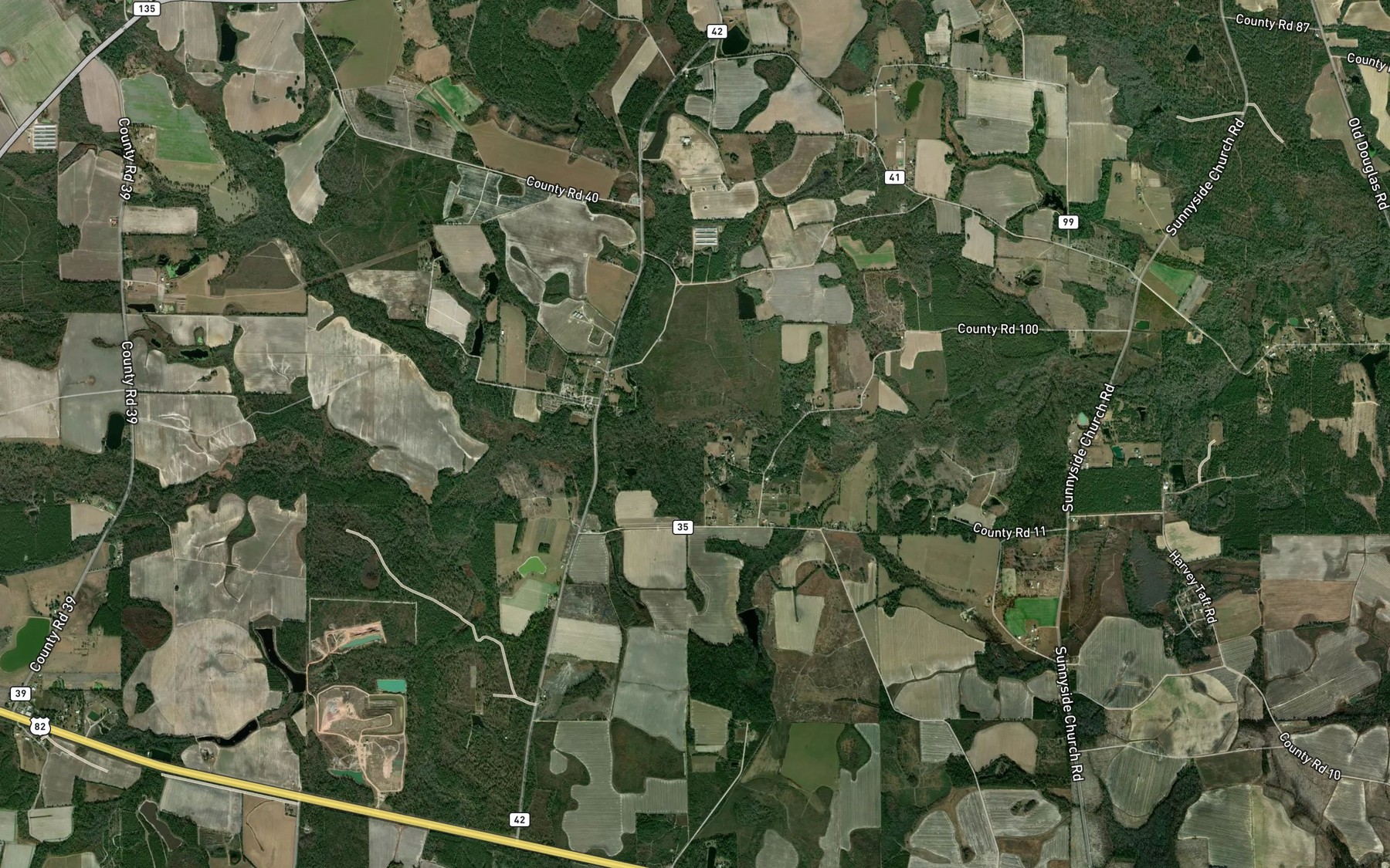 Satellite map of the Reedy Creek