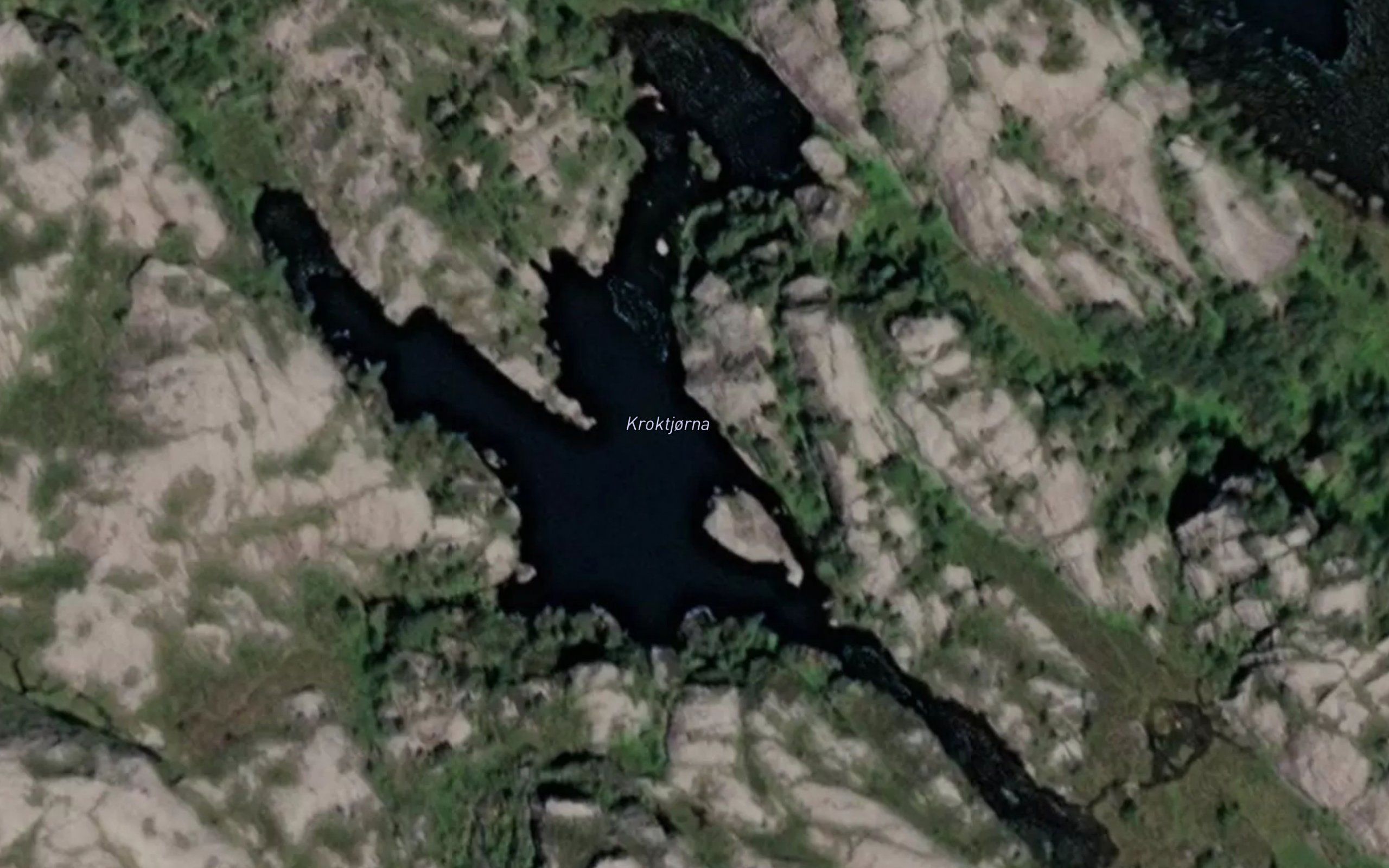 Kroktjorna