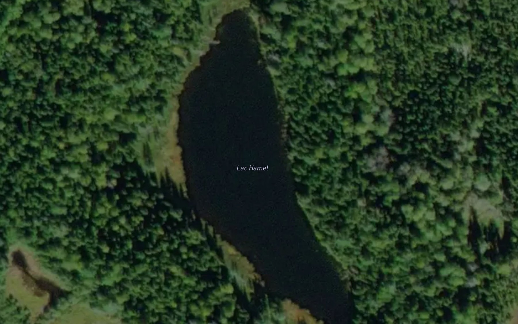 Satellite map of the Lac Hamel