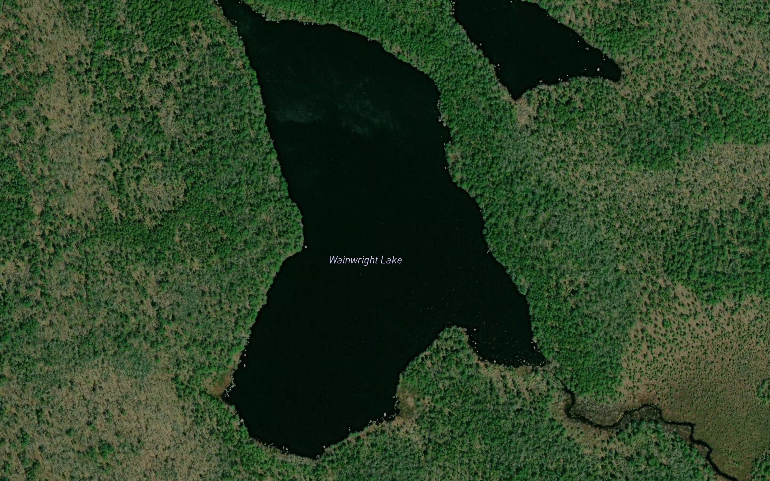 Wainwright Lake