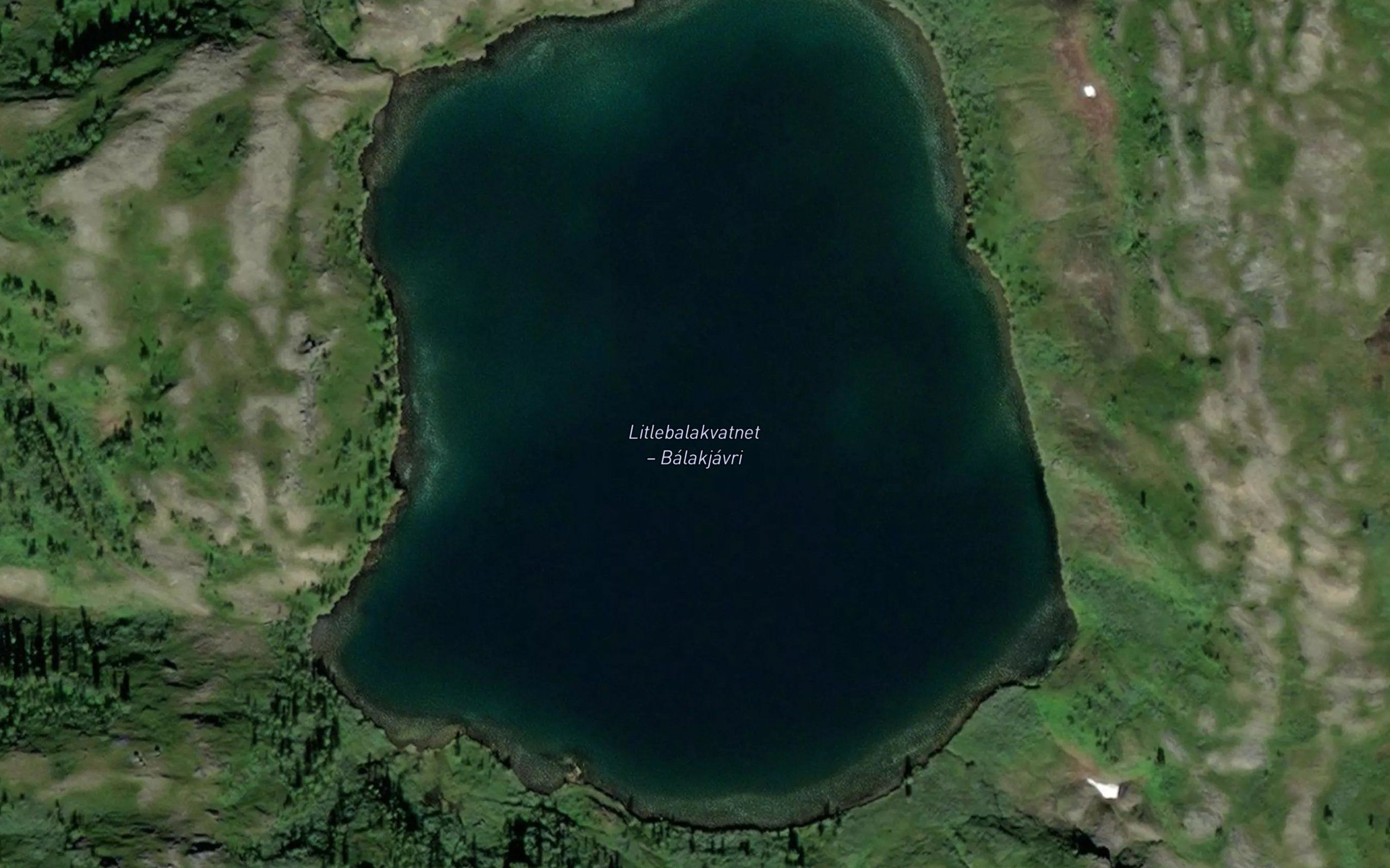 Balagjavri