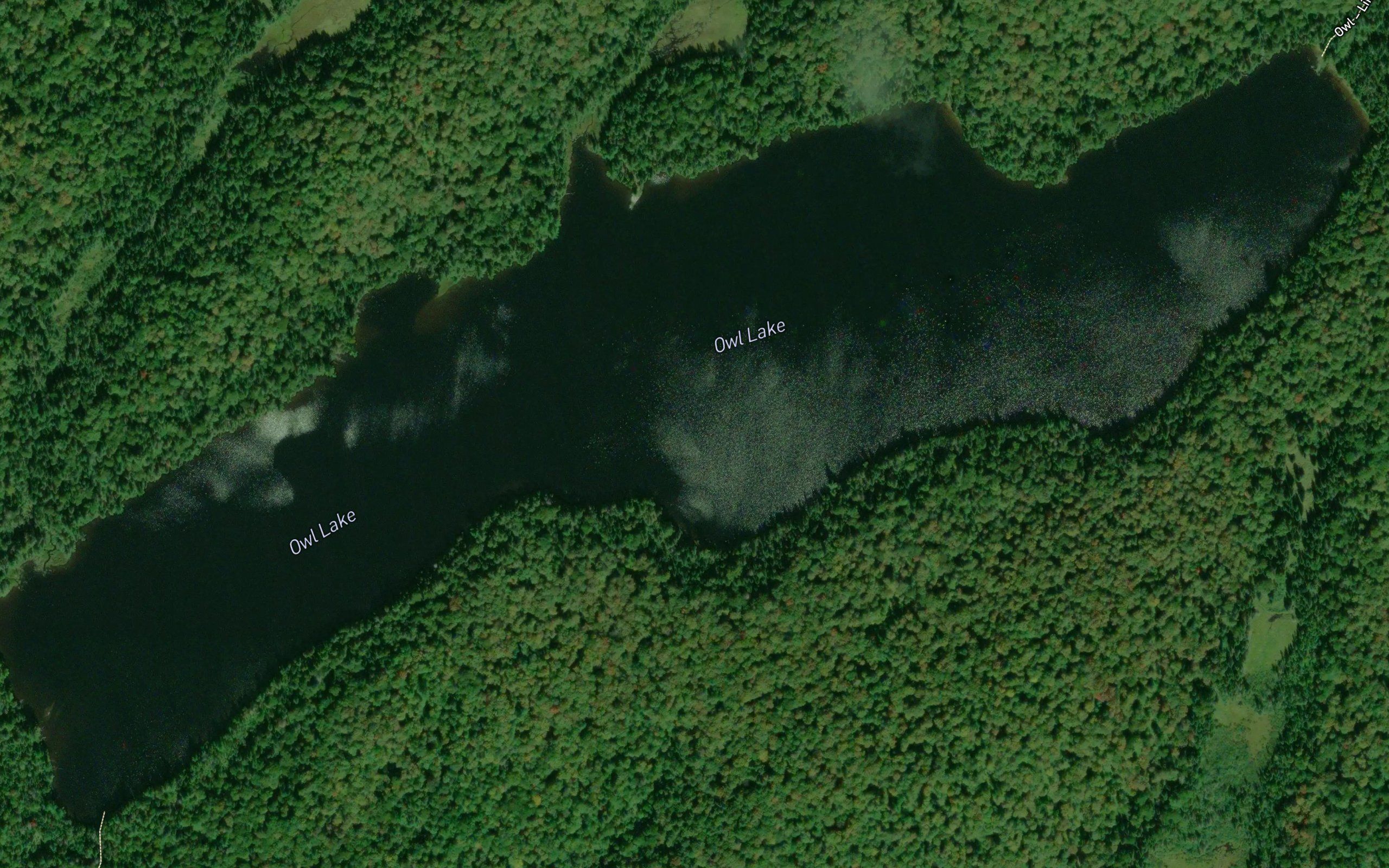 Owl Lake
