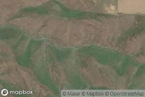 Willows Spring