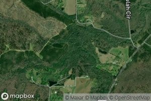 Left Hand Prong Little Canoe Creek