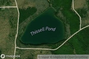 Thissell Pond
