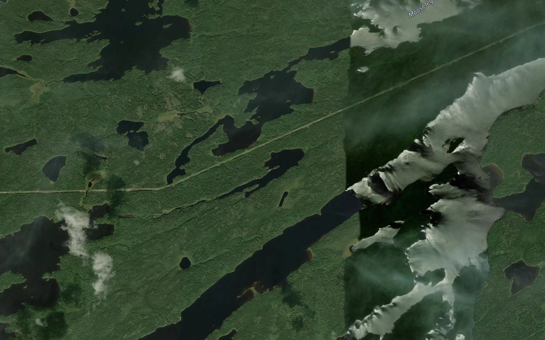 Satellite map of the Don's Lake