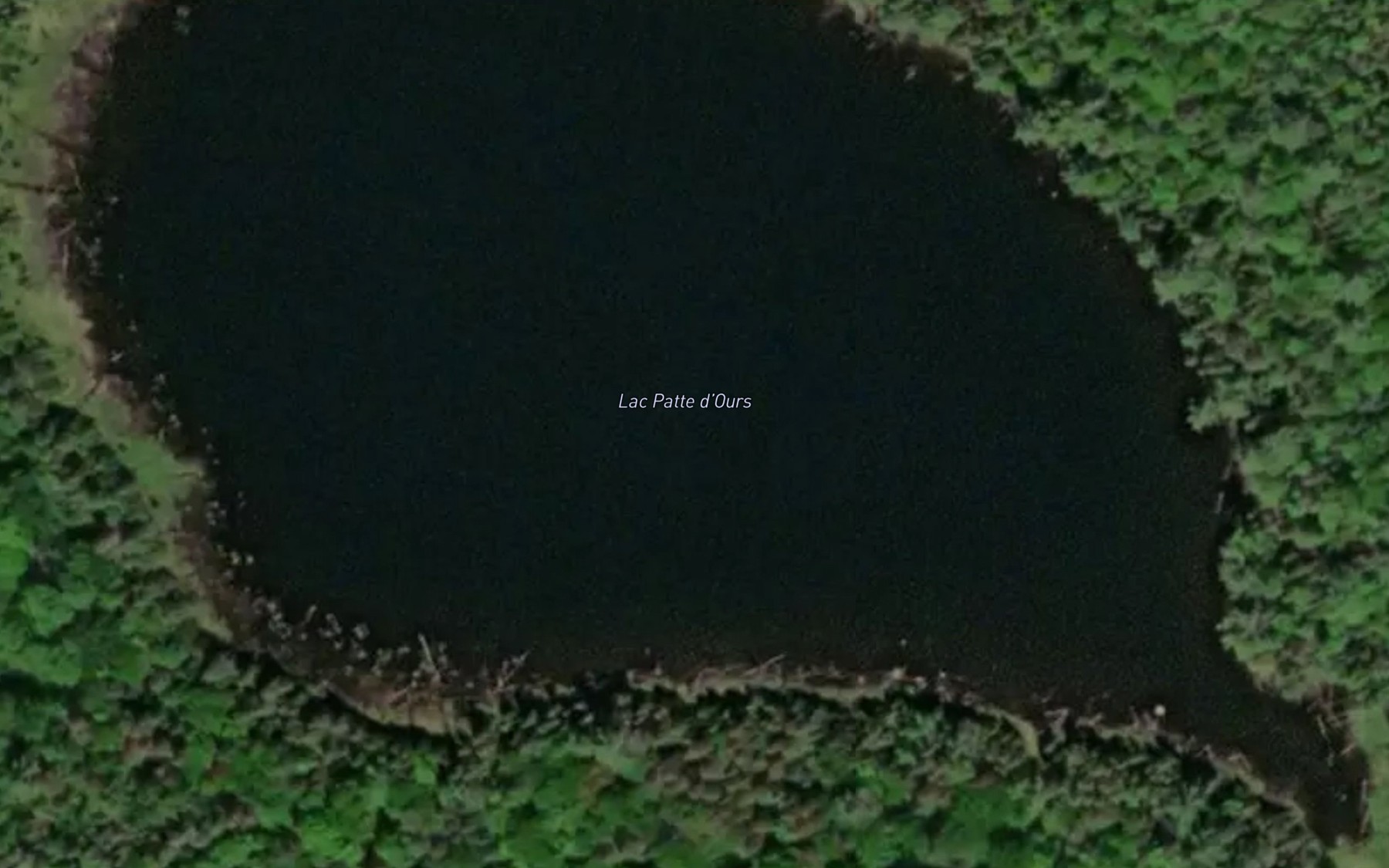 Satellite map of the Lac Patte d'Ours