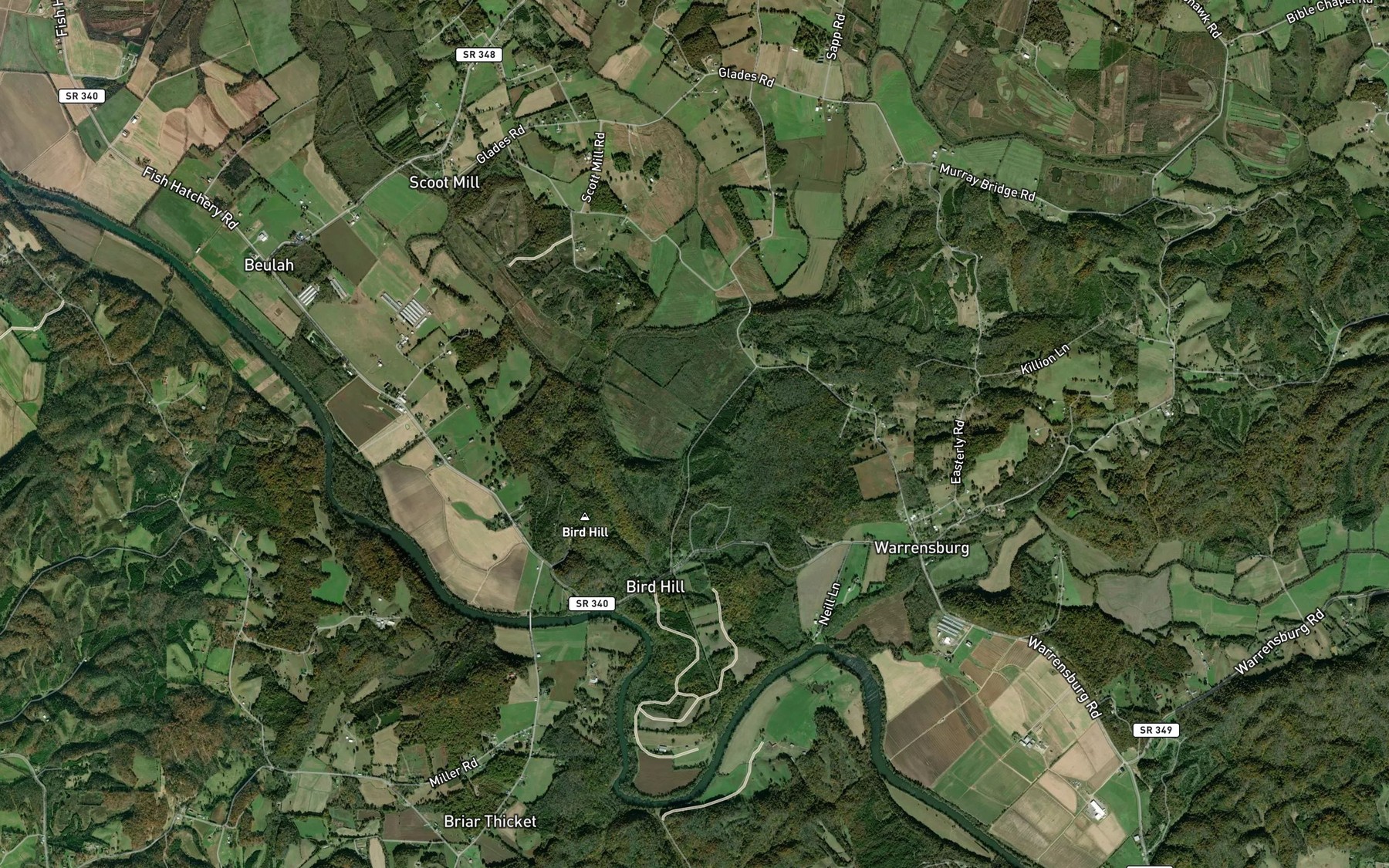 Satellite map of the Scruggs Spring