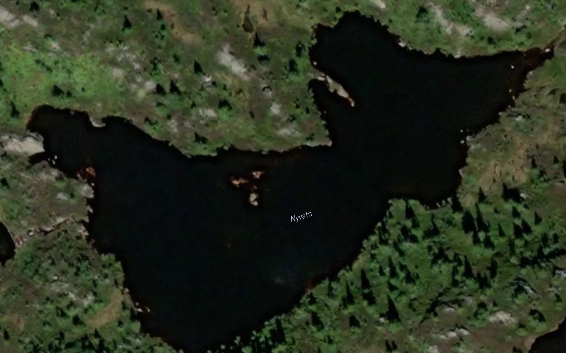 Satellite map of the Nyvatn