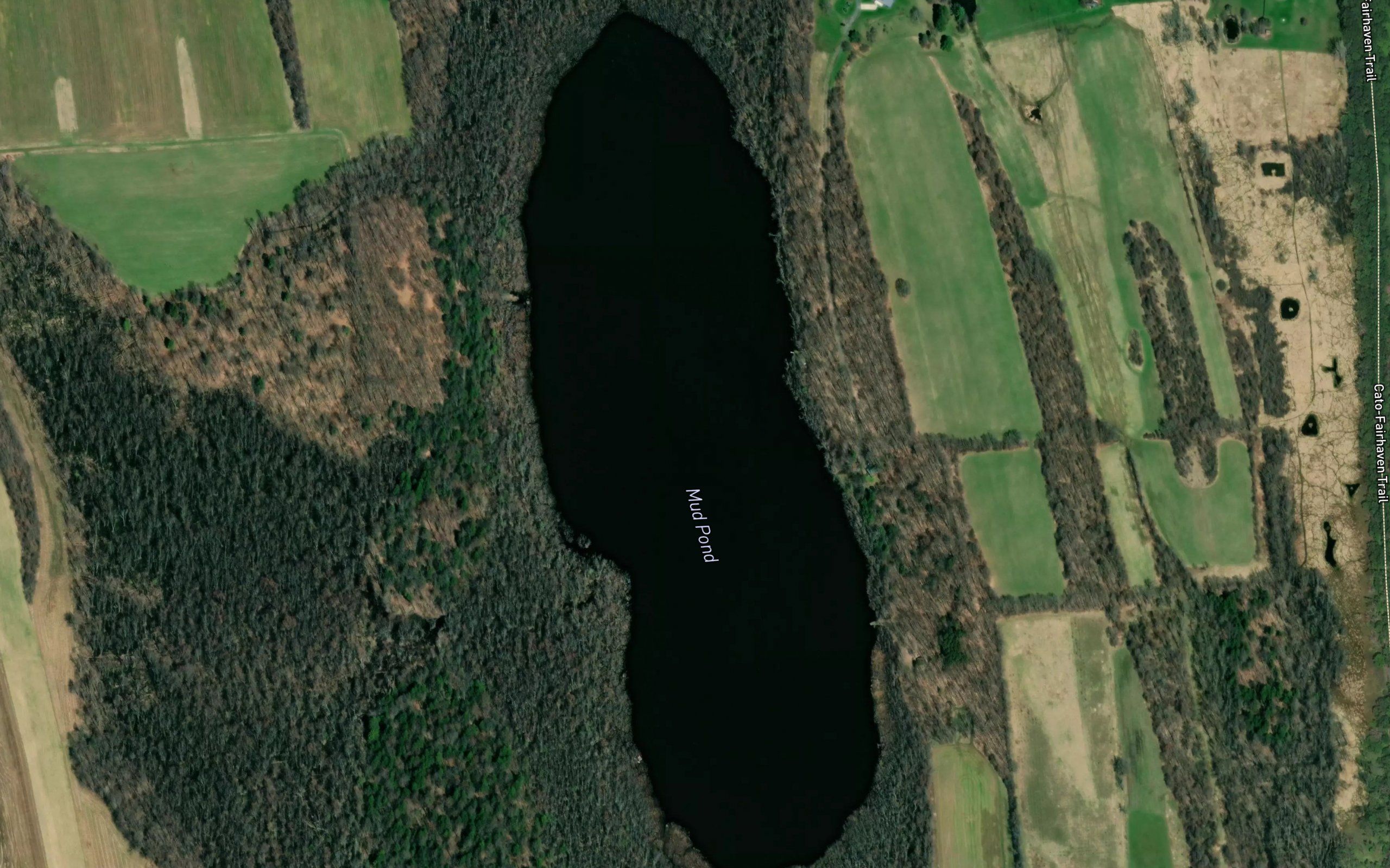 Mud Pond
