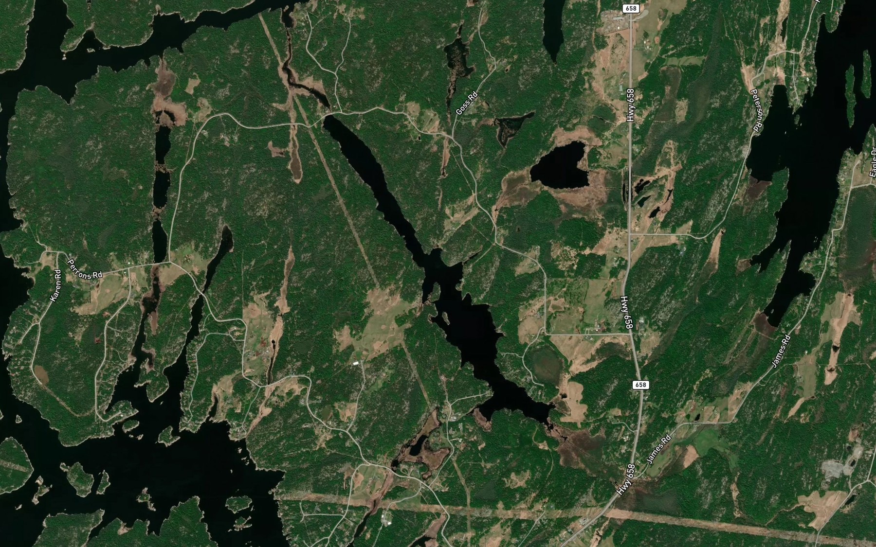 Satellite map of the Alcock Lake