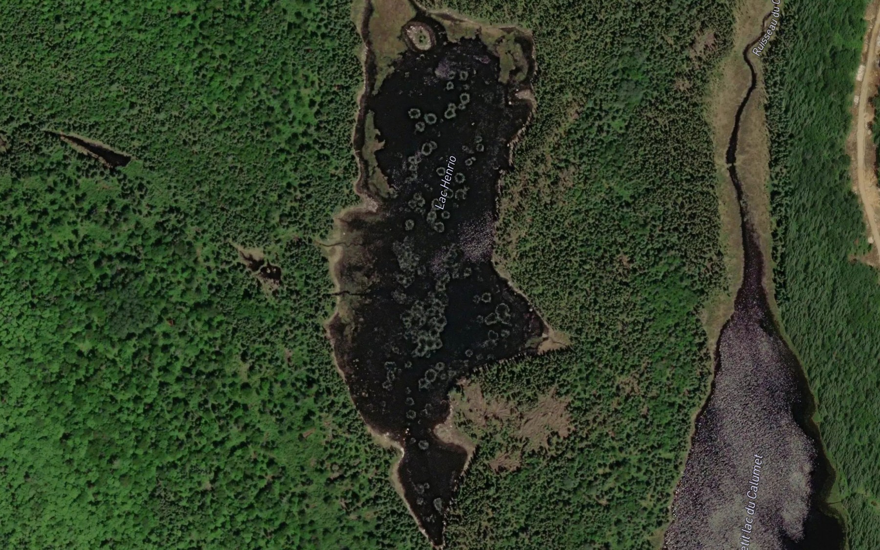 Satellite map of the Lac Johnny