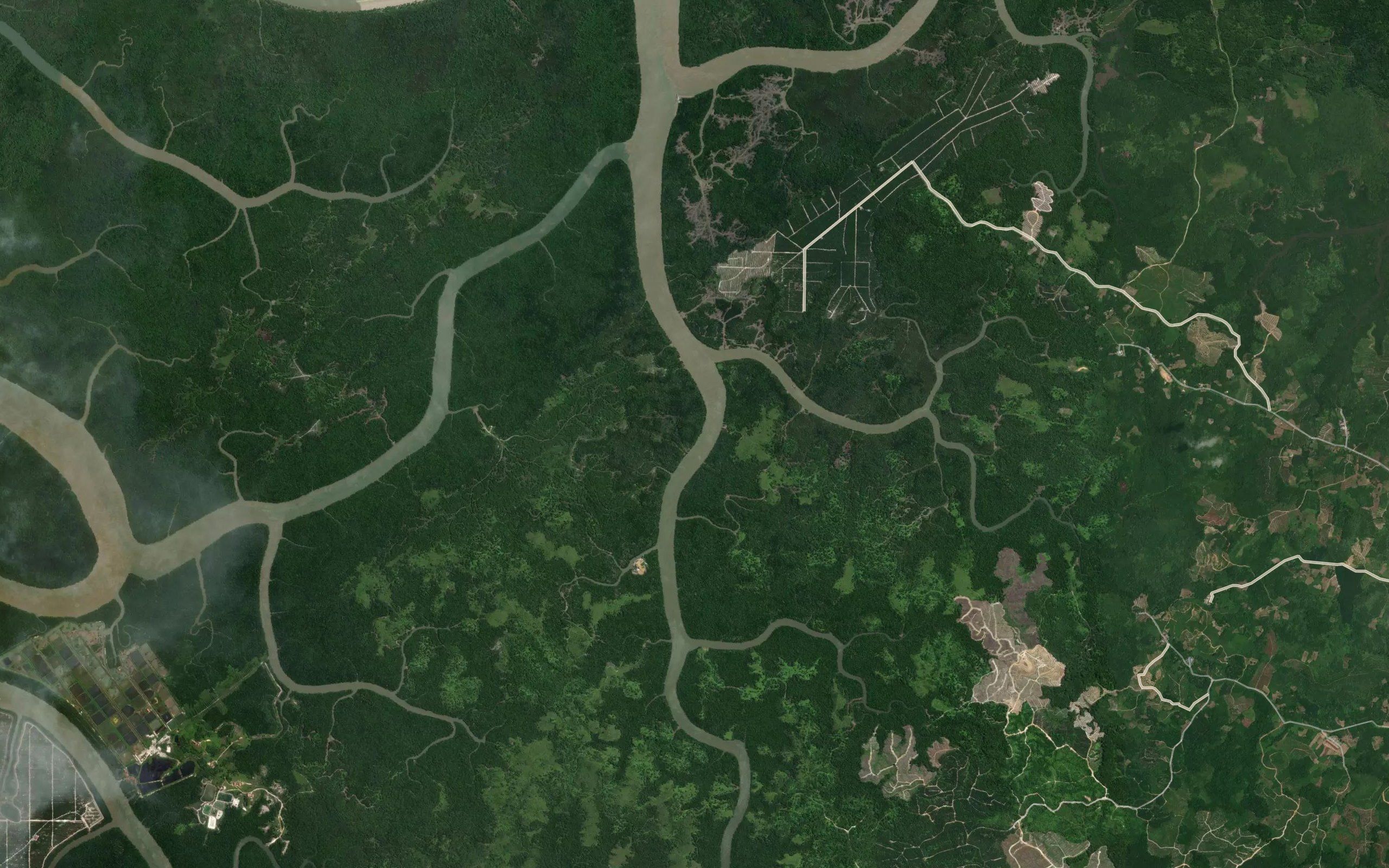 Sungai Apong