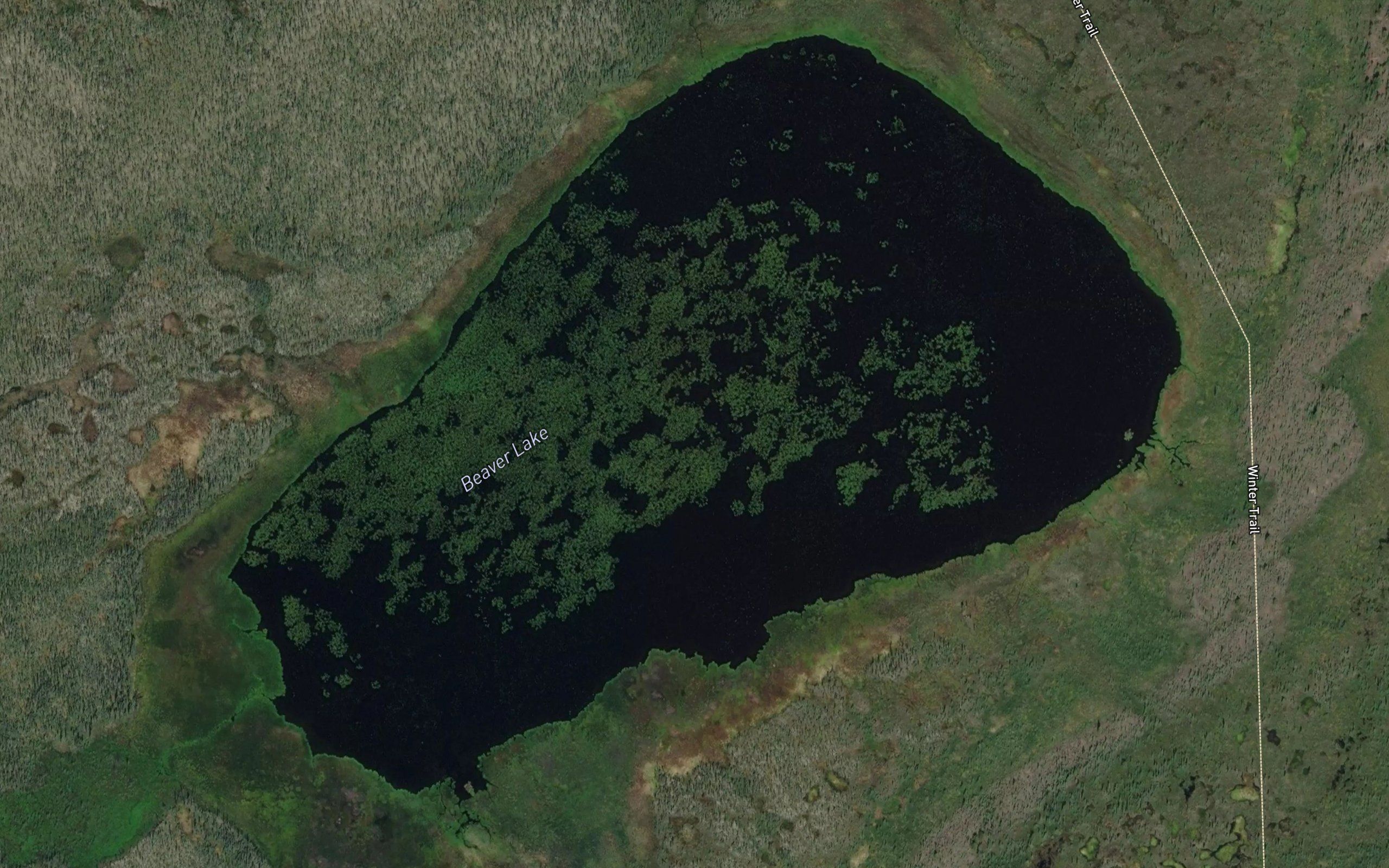 Beaver Lake