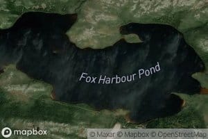 Fox Harbour Pond