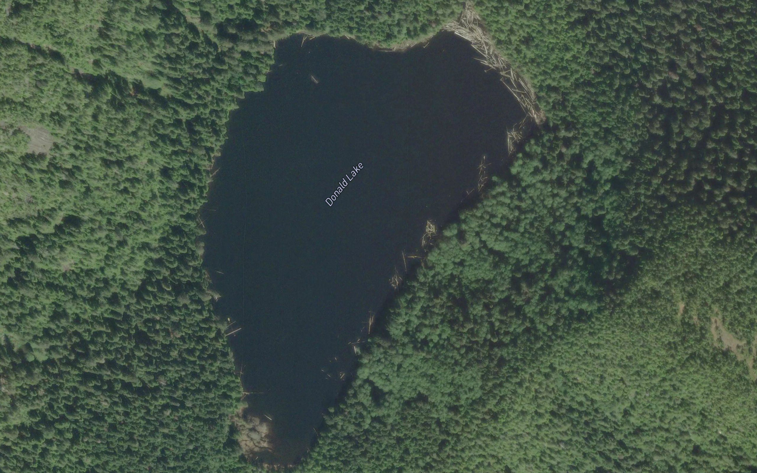 Donald Lake