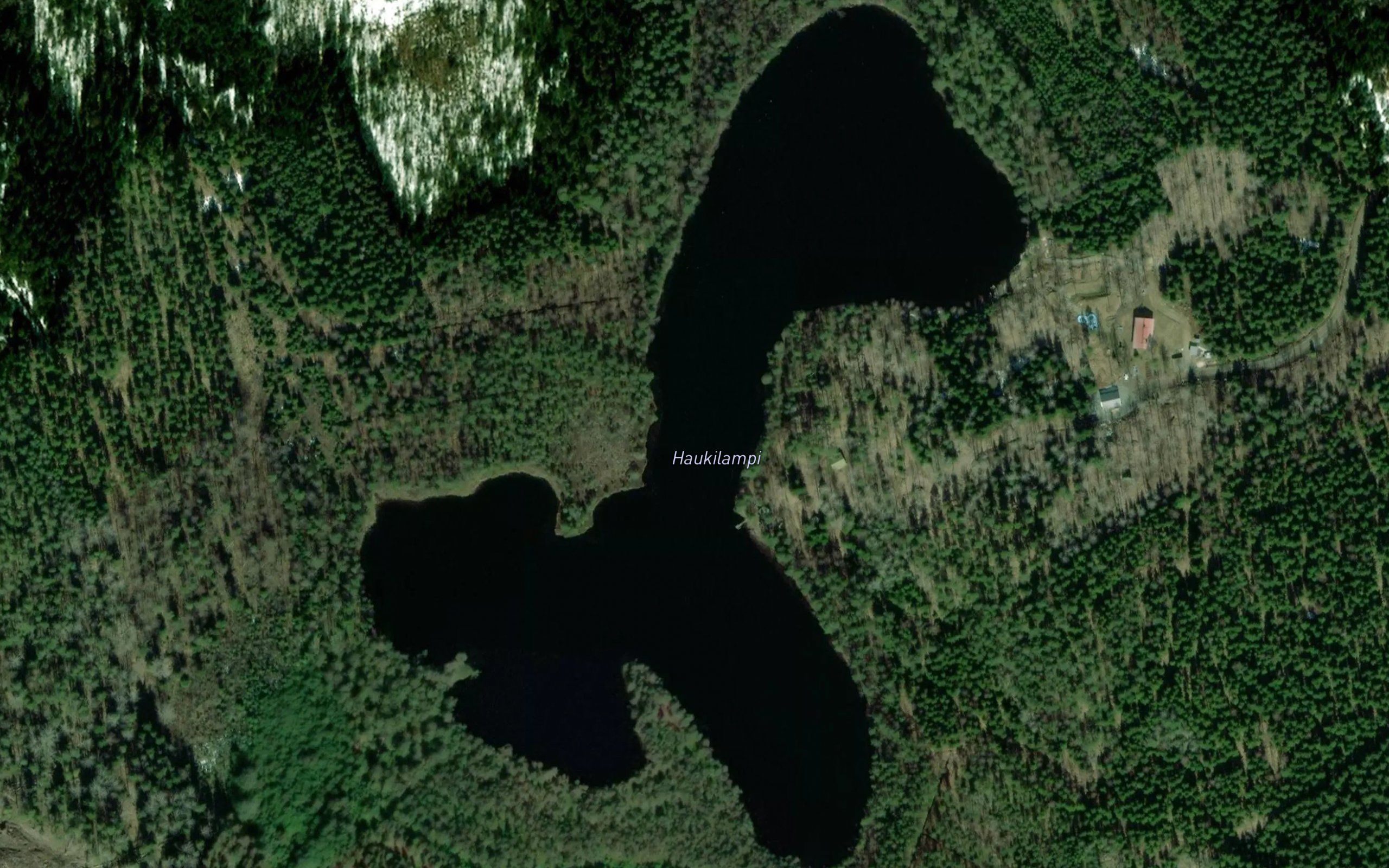Haukilampi