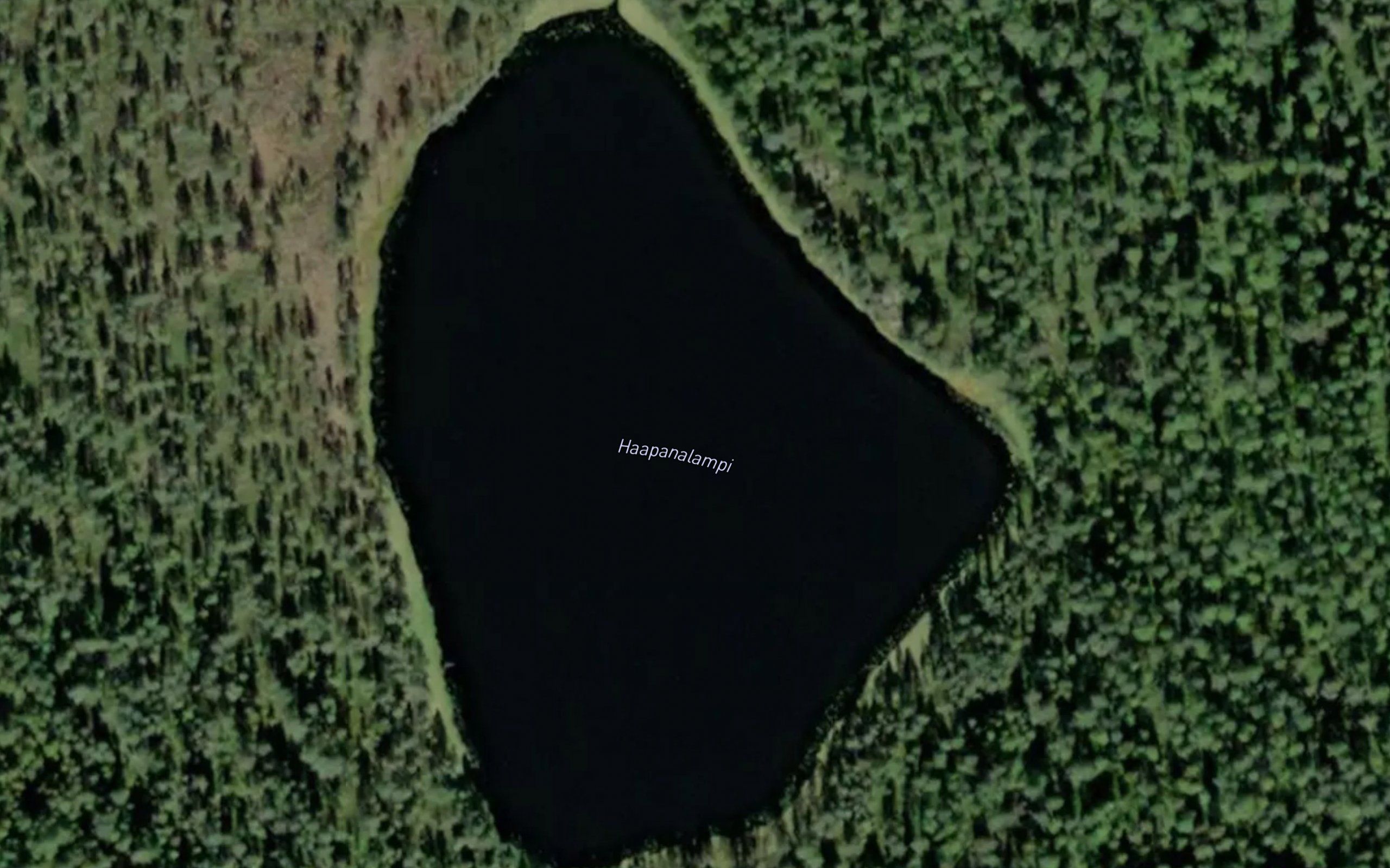 Haapanalampi