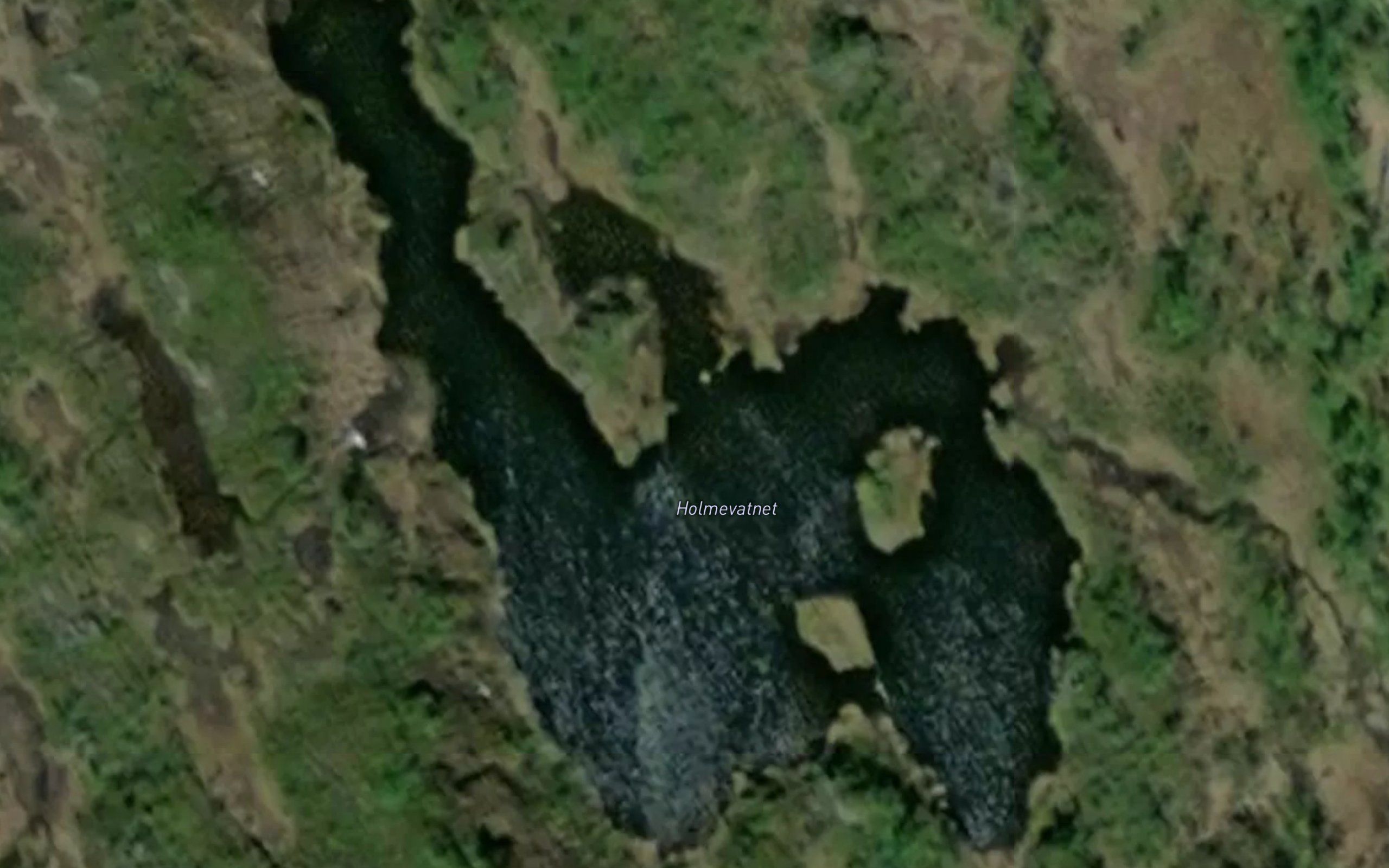 Holmevatnet