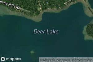 Deer Lake