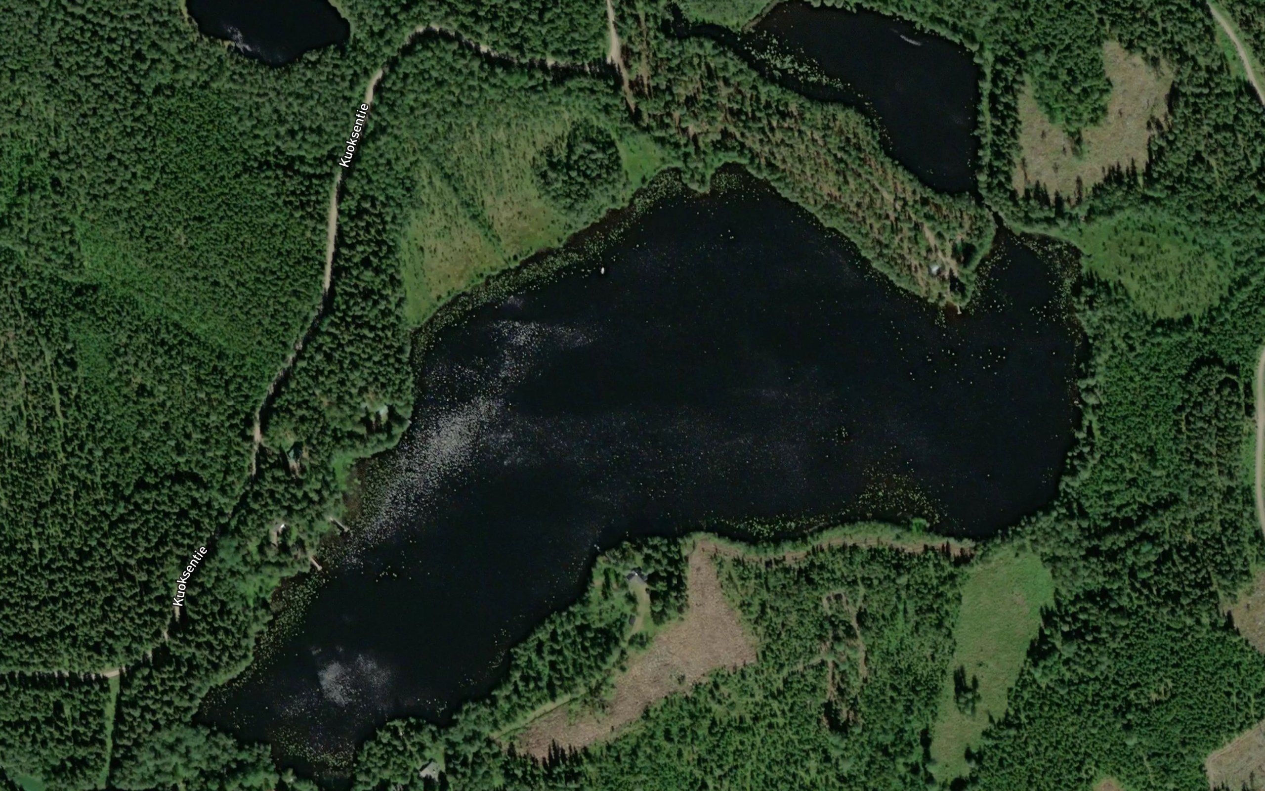 Ruhkalammi