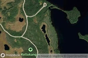 Kellolammit