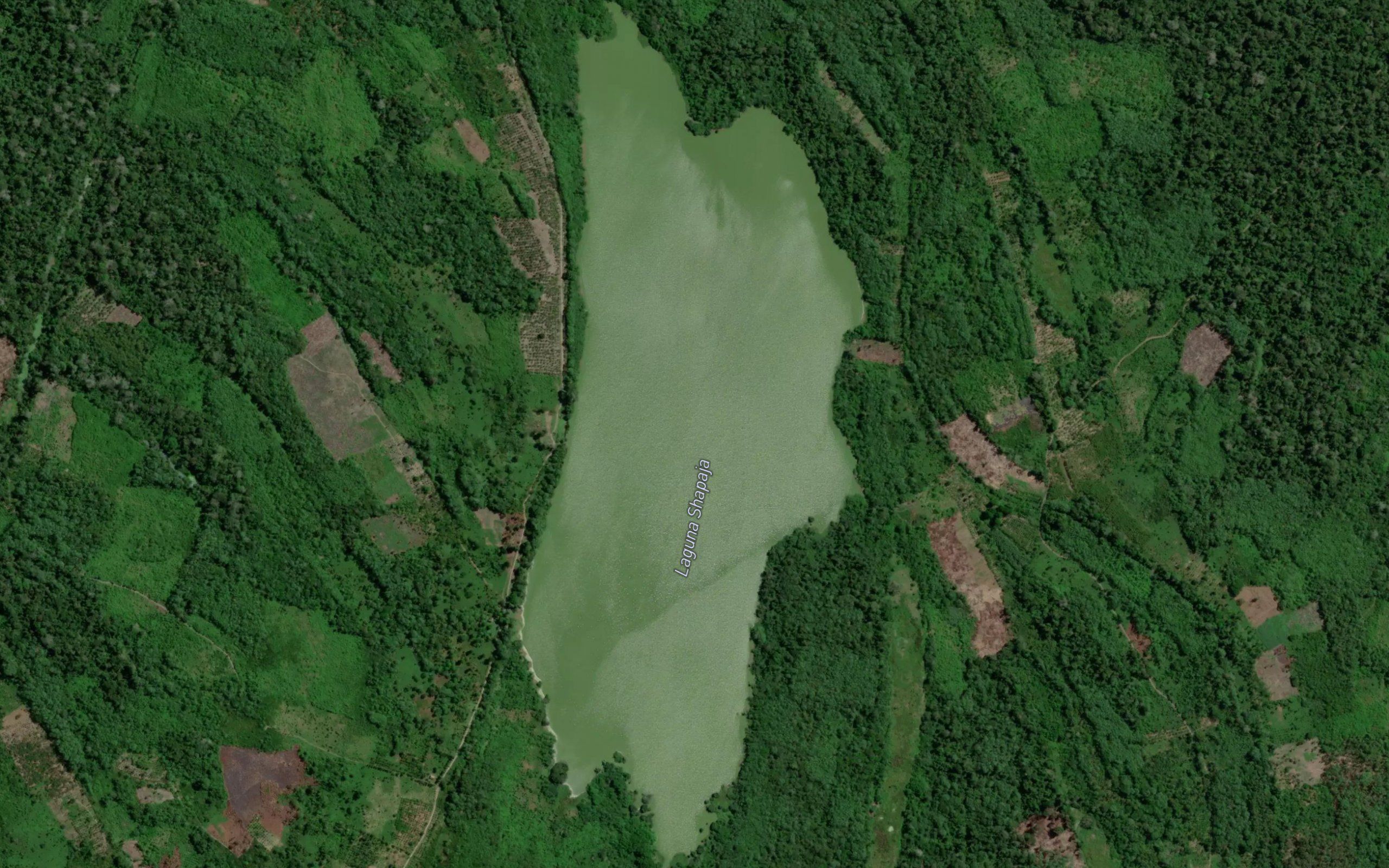 Laguna Shapaja