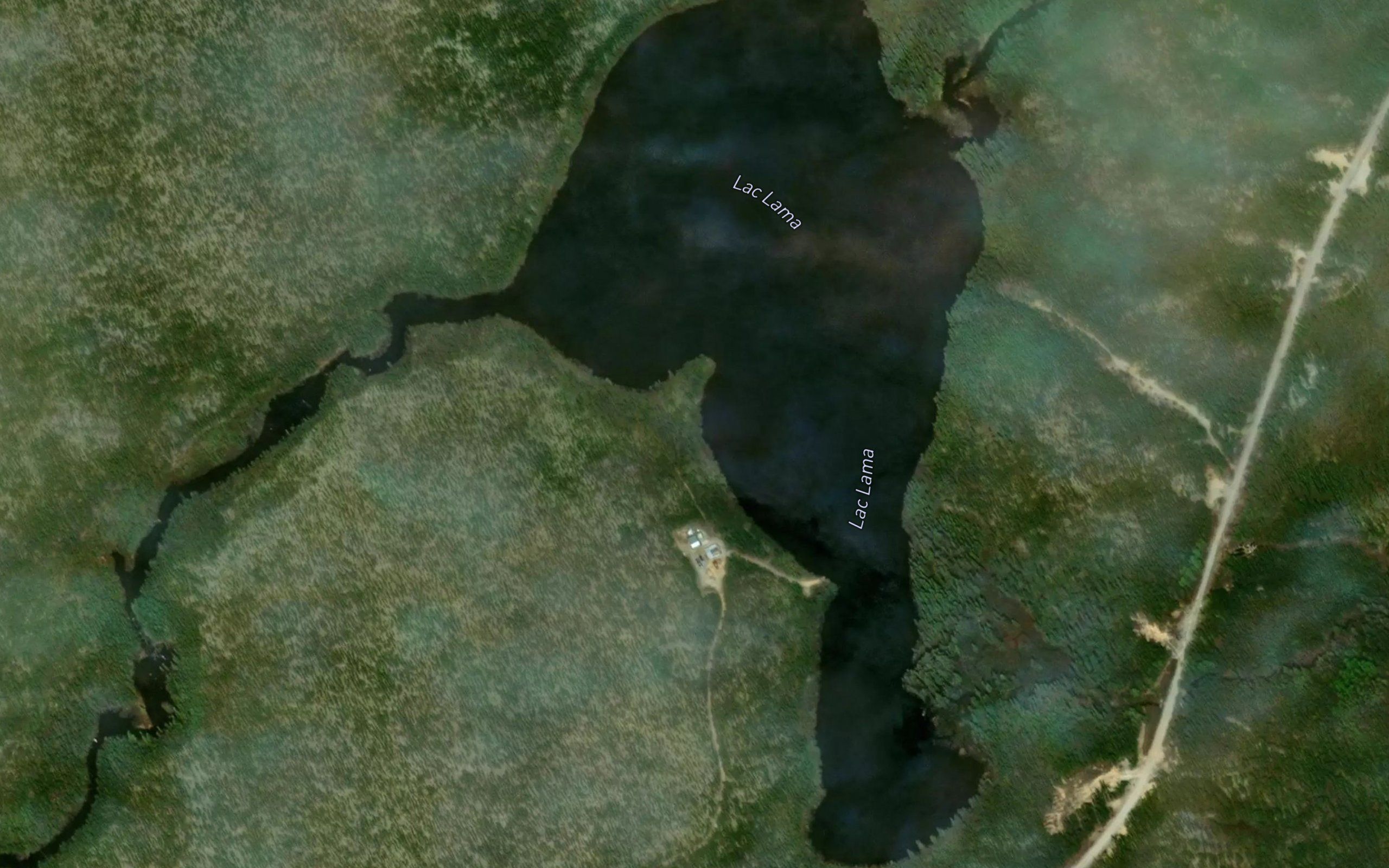 Lac Lama