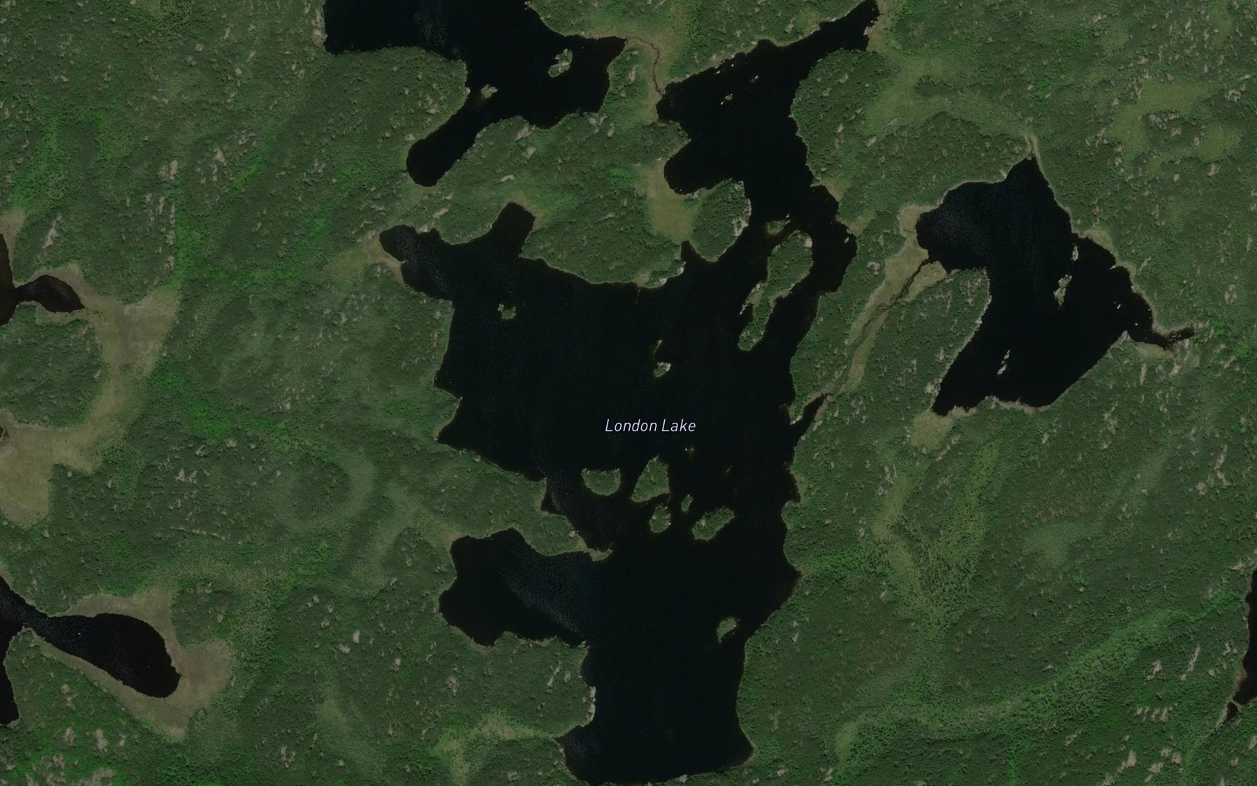 Satellite map of the London Lake
