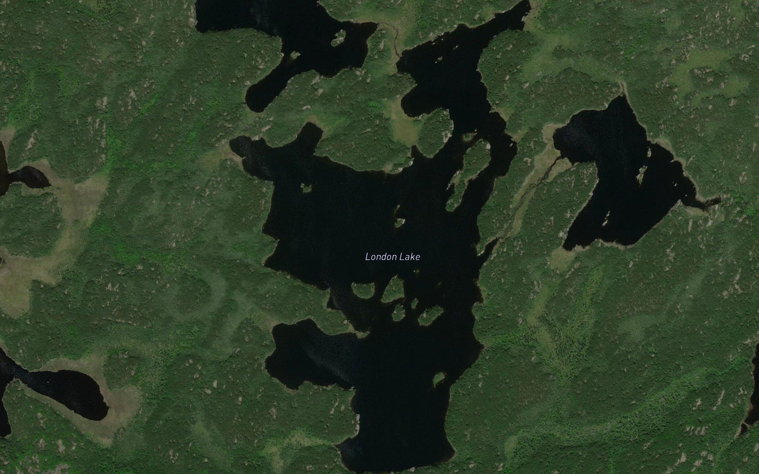 London Lake