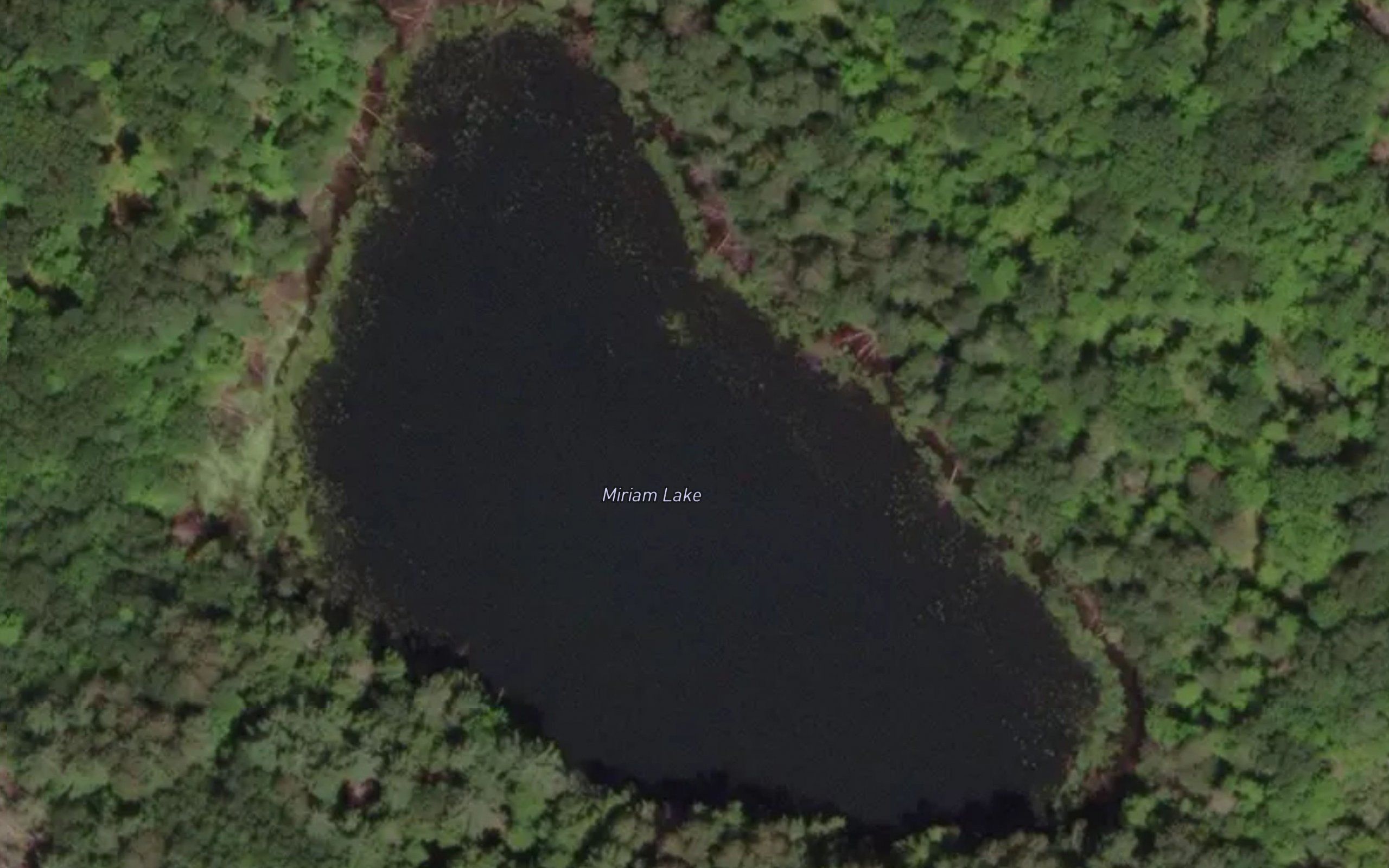 Miriam Lake