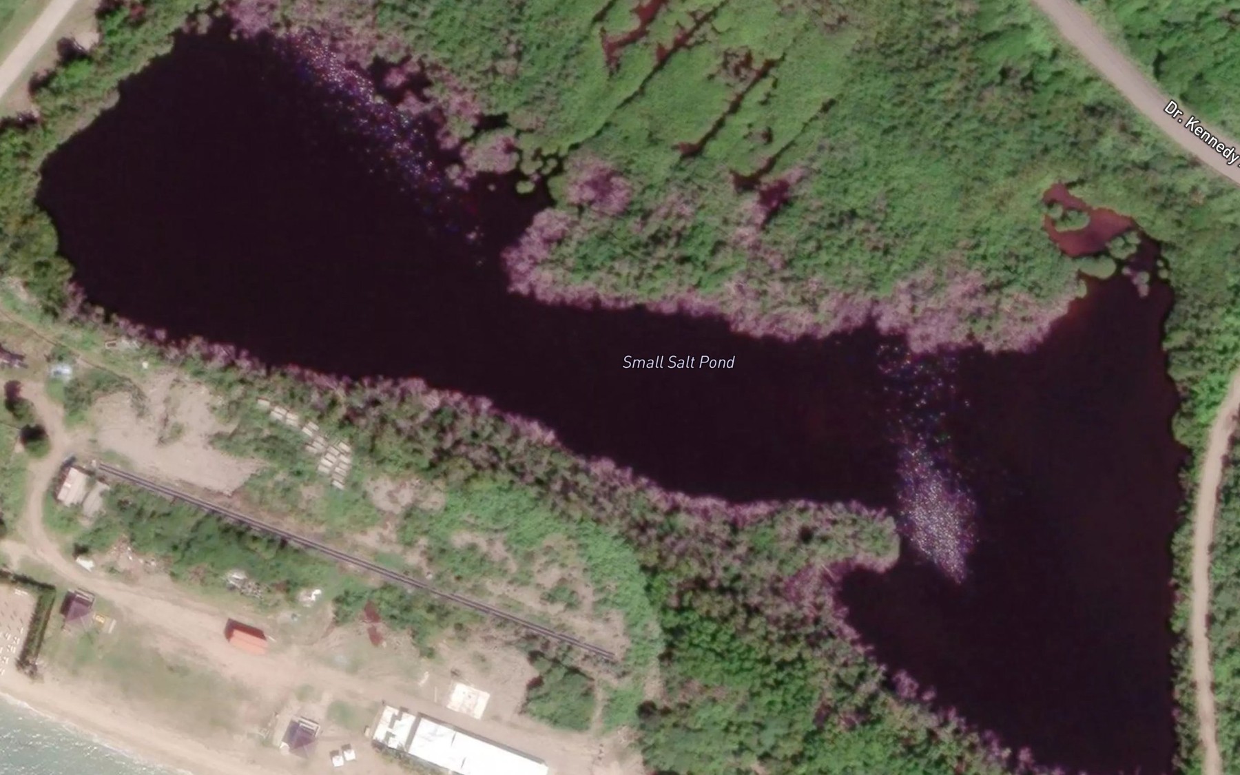 Satellite map of the Salt Pond