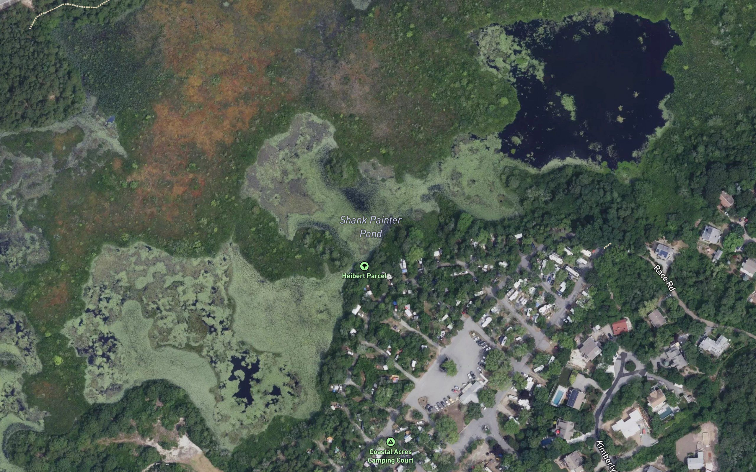 Shank Painter Pond