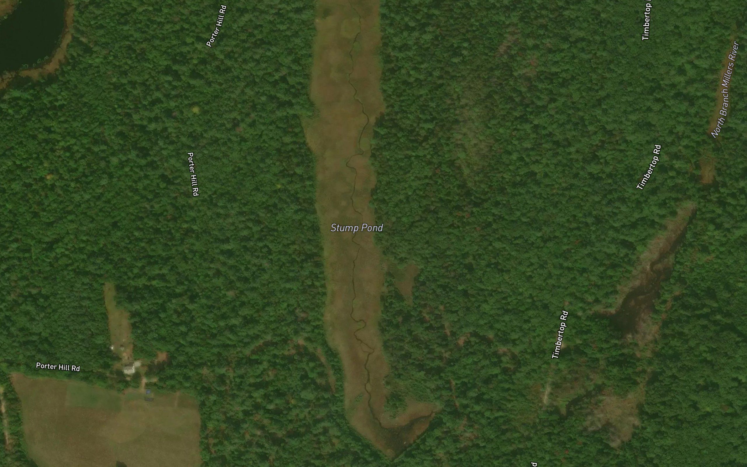 Stump Pond