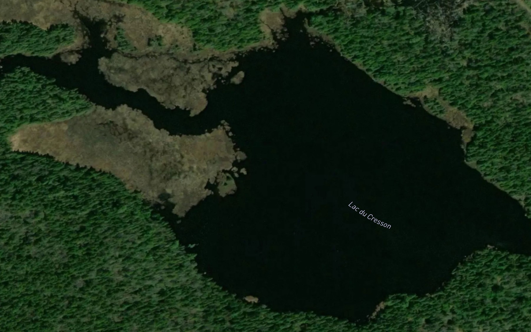 Satellite map of the Lac du Cresson