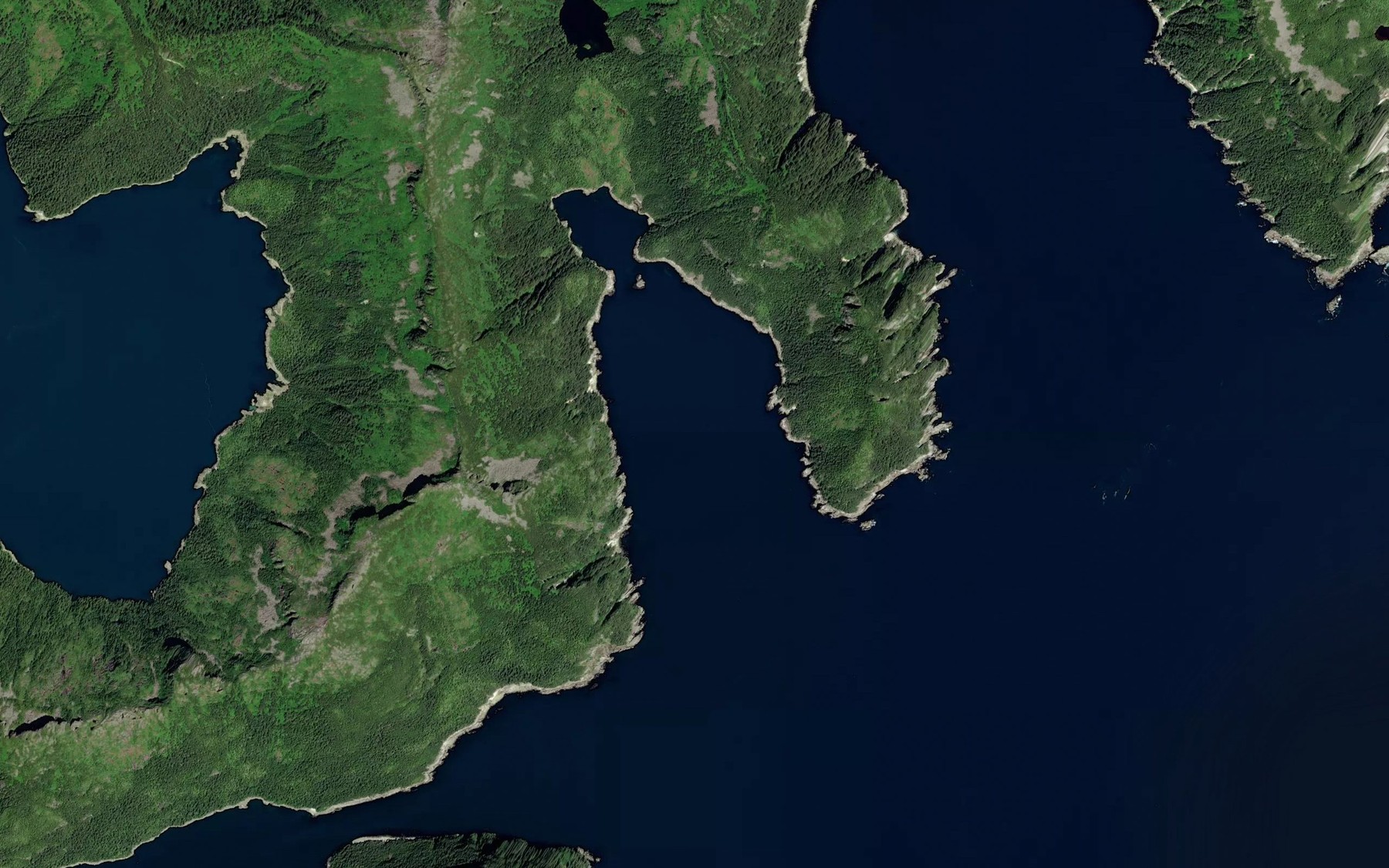 Satellite map of the Chance Cove