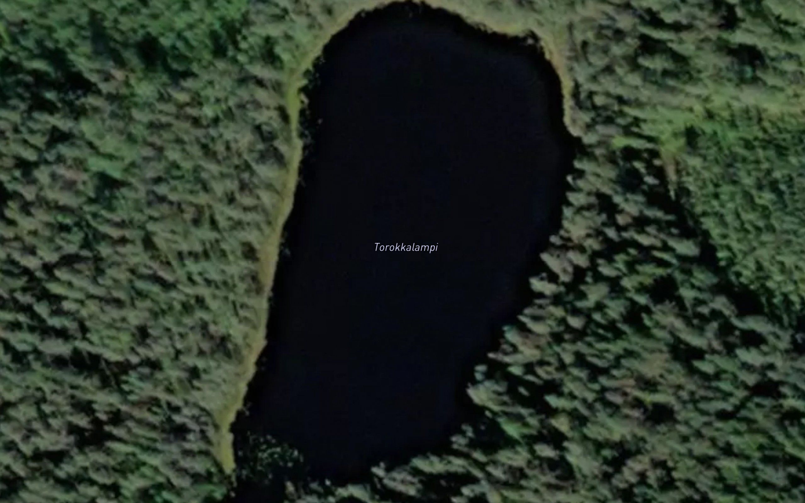 Torokkolampi