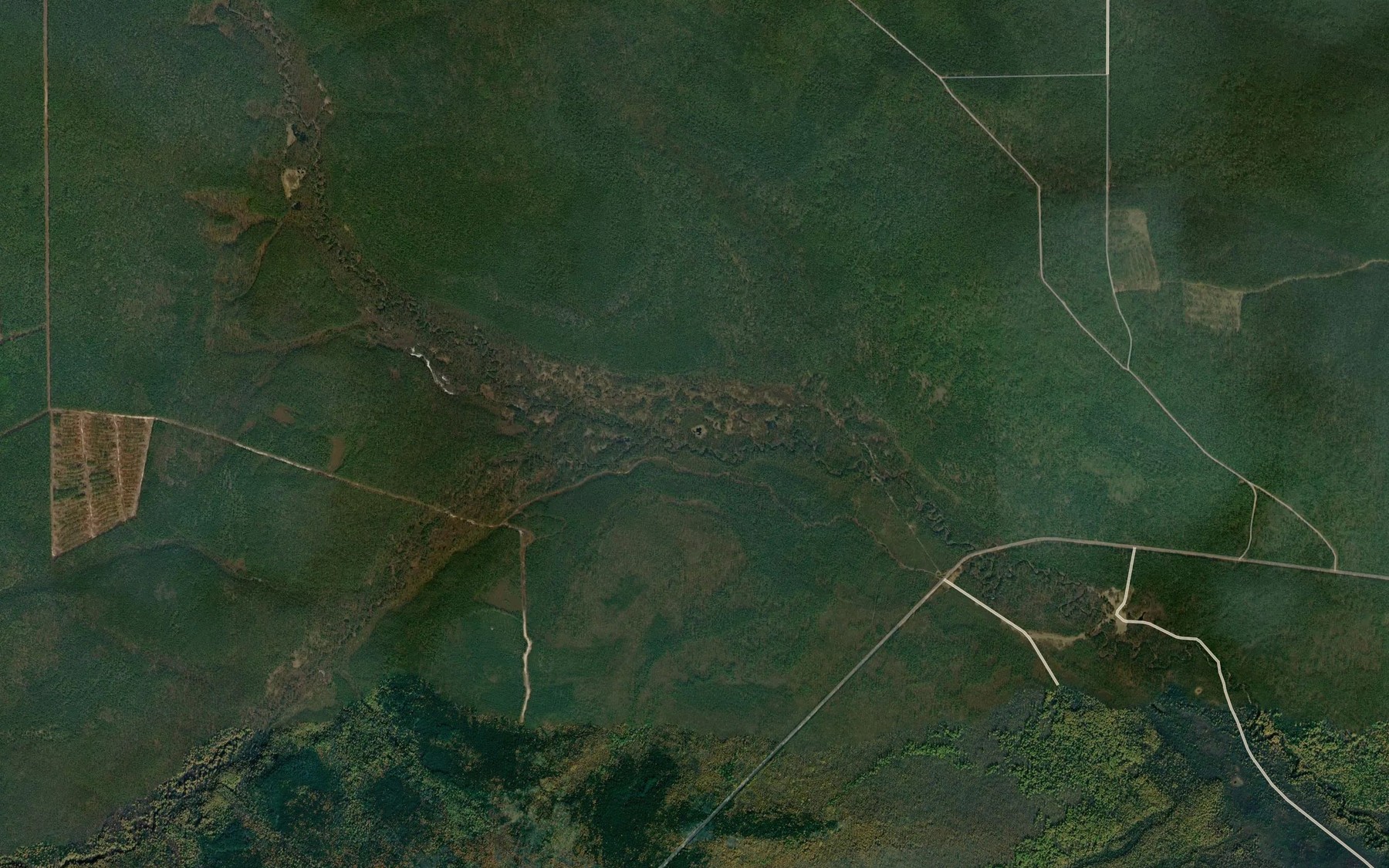 Satellite map of the Turizhka