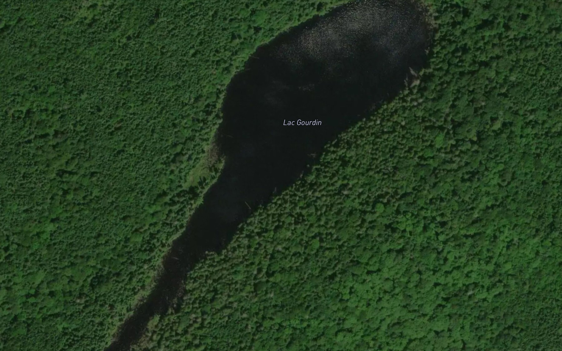 Satellite map of the Lac Gourdin