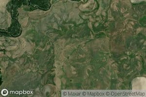 Bush and Holliday Ditch