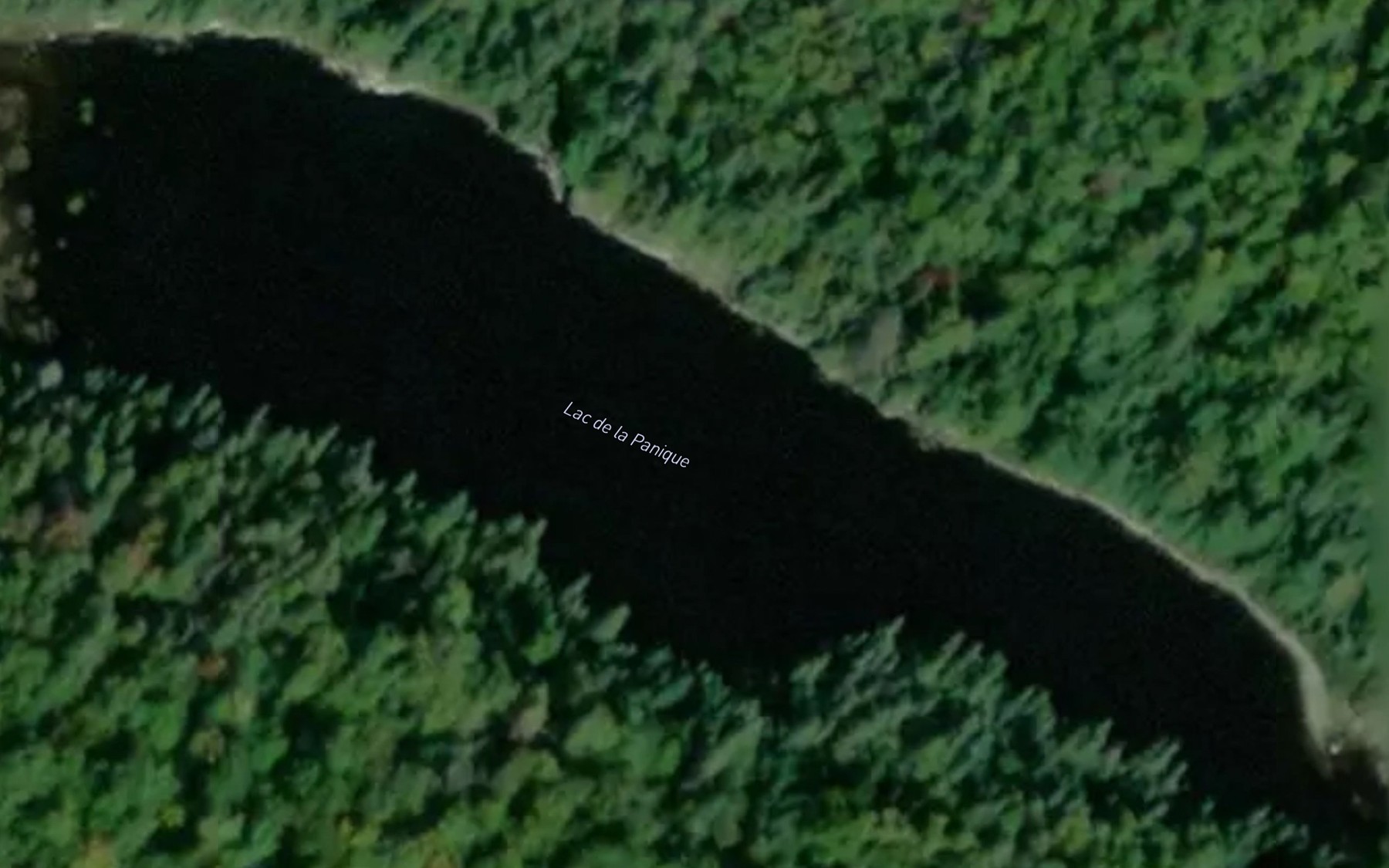 Satellite map of the Lac de la Panique