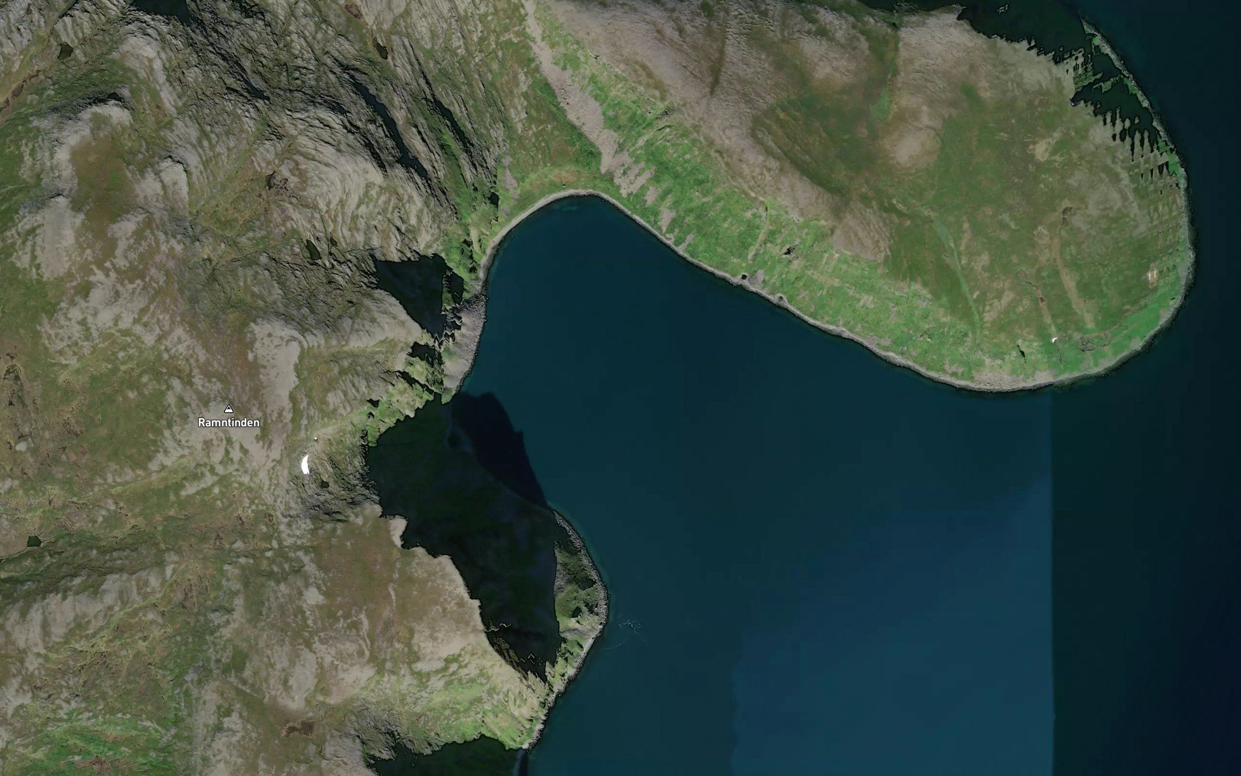 Borvika