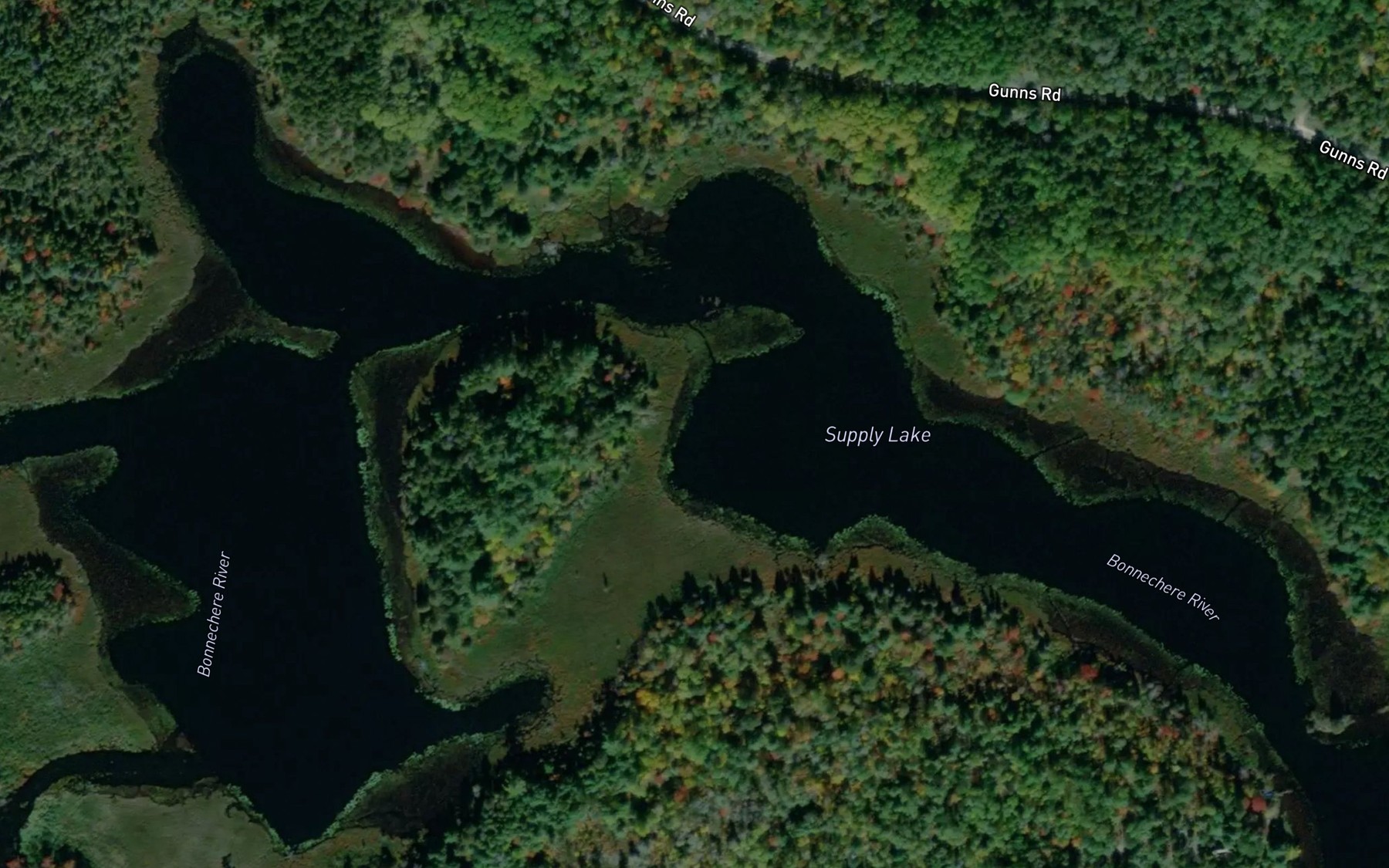 Satellite map of the Supply Lake